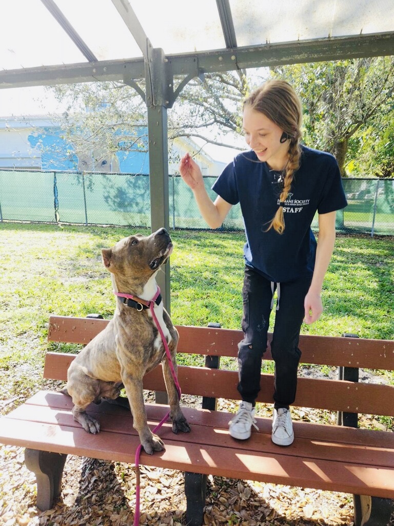 Picture of Kaitlynn Nappo with a dog