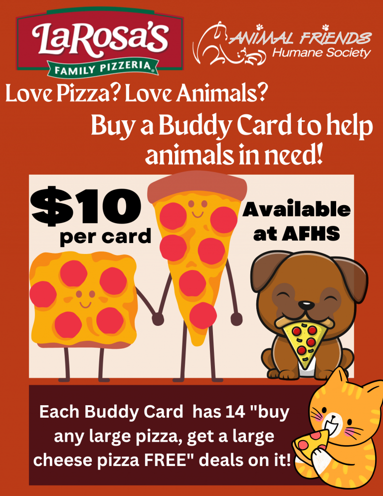 Buddy Card flyer