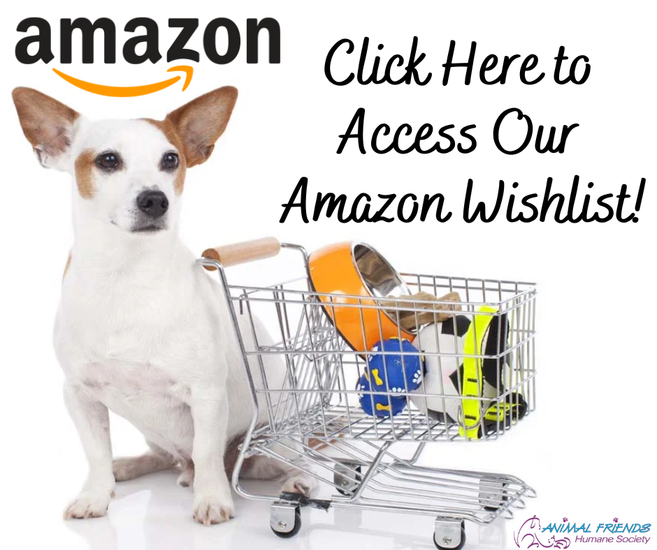 "Click Here to Access our Amazon Wishlist" text with dog with shopping cart
