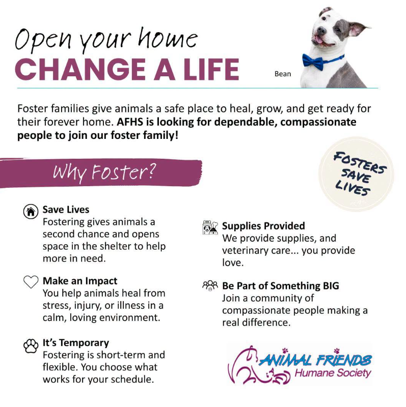 Maddie's Pet Assistant Partner logo