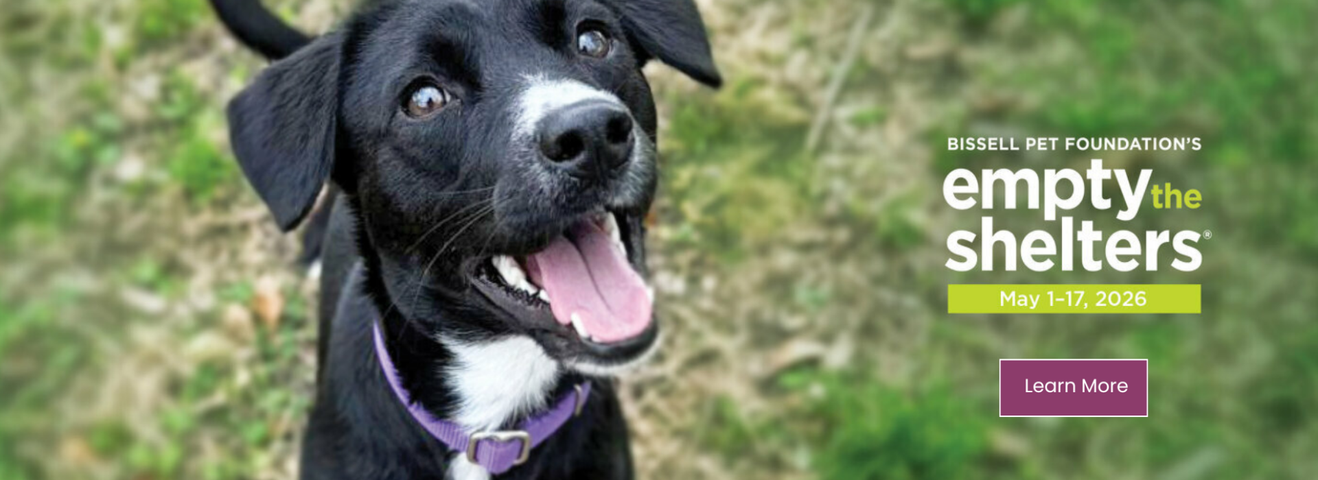 Bissel Empty the Shelters